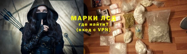 a pvp Болотное