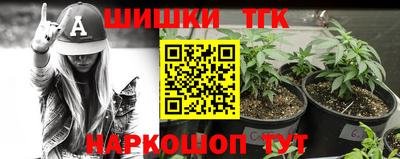 гашик Волжский