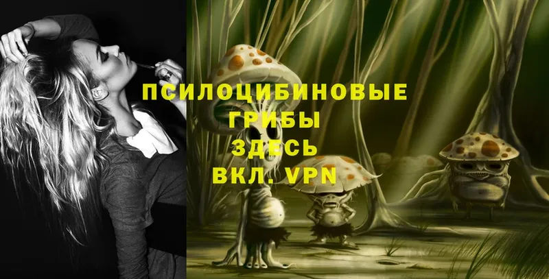 Галлюциногенные грибы Psilocybe Балашов