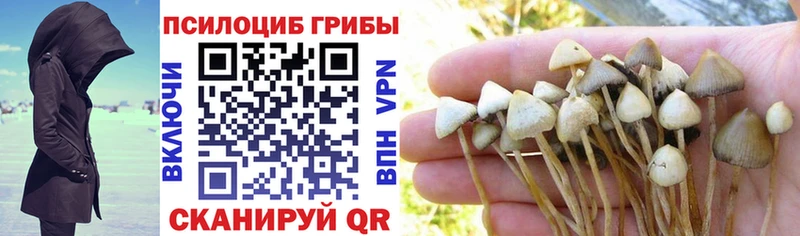 Галлюциногенные грибы GOLDEN TEACHER  закладка  Балашов 