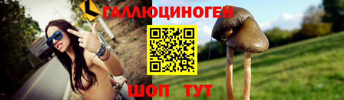Галлюциногенные грибы мухоморы Балашов