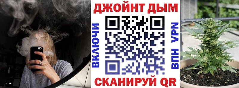 дарнет шоп  Балашов  Шишки марихуана сатива 